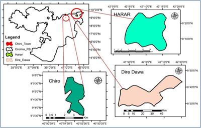 Aspergillus species contamination in concentrate feeds collected from specialized dairy farms and local markets in selected urban centers of eastern Ethiopia